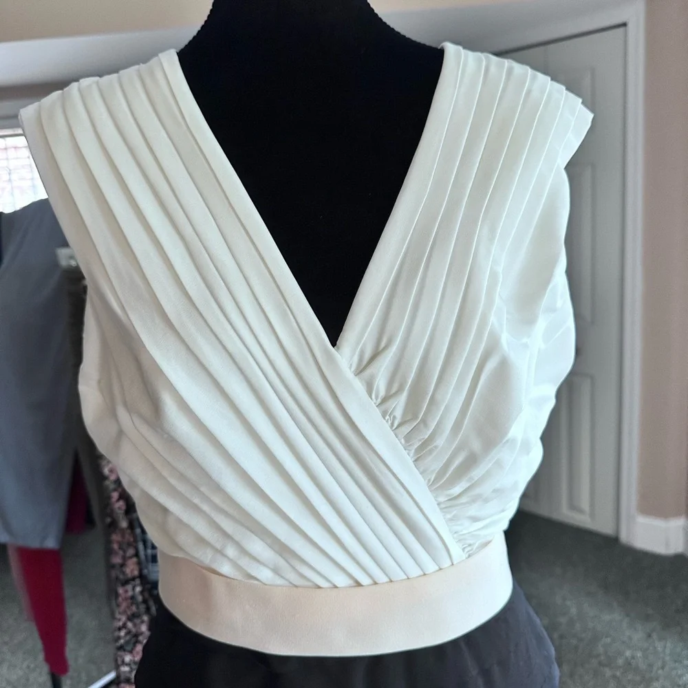 Tadashi Shoji Ivory And Black Pleated Dress - Picture 3 of 5